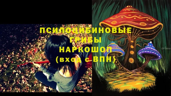 гидропоника Алексеевка