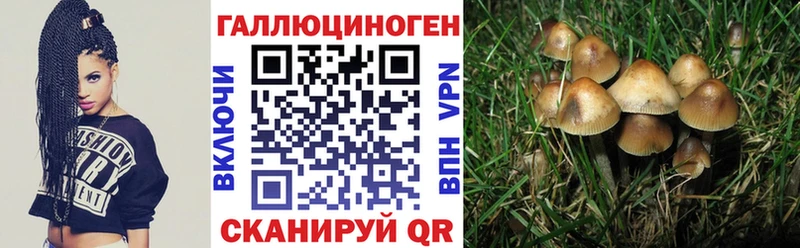 Псилоцибиновые грибы Psilocybine cubensis  Перевоз 