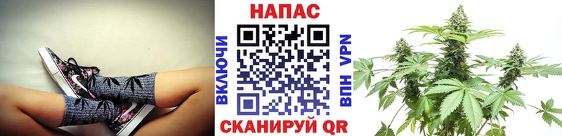 купить   Перевоз  Конопля тримм 